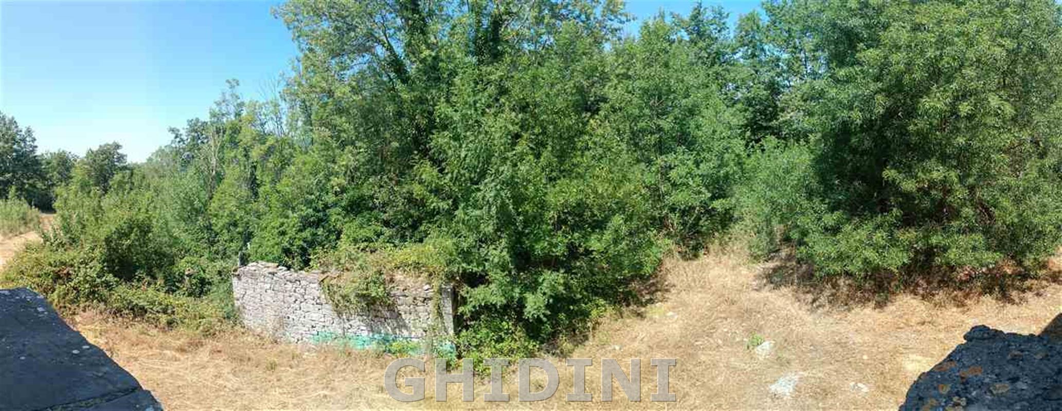 Immobile 4 vani in vendita a SEMPRONIANO - foto 7