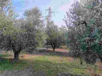 Immobile a GROSSETO - AURELIA NORD