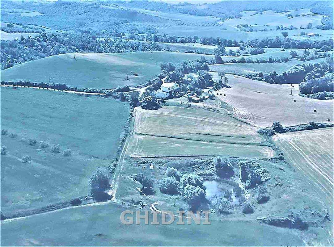 Terreno in vendita a CINIGIANO - foto 7
